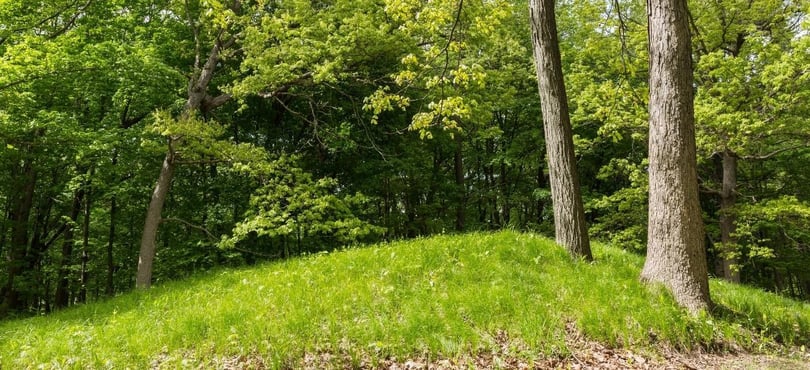 Natural burial 2