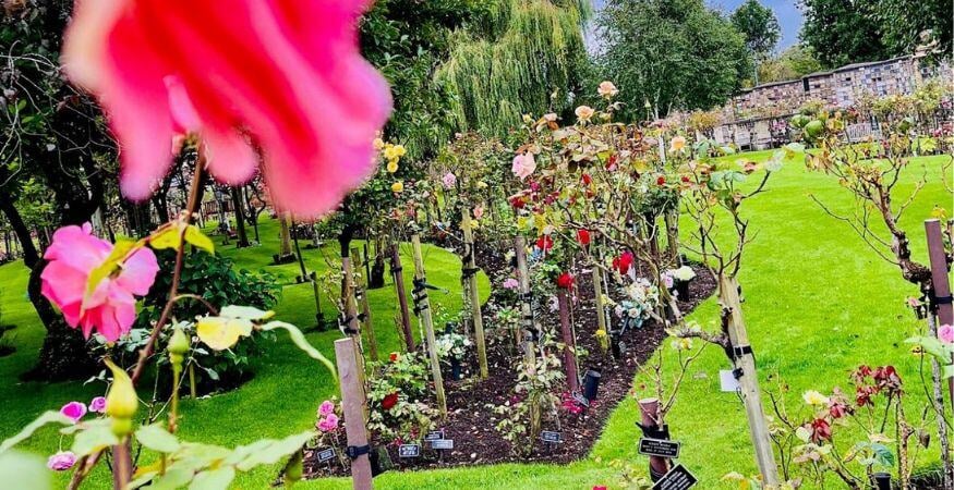 Manchester Crematorium 3