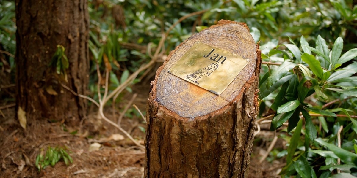 Woodland burial company 2