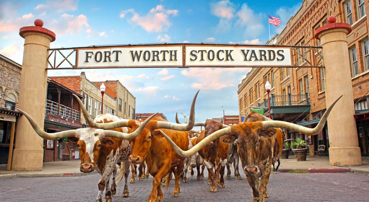 1 HERO_Herd_Stockyards_Sign_HDR_Web72DPI