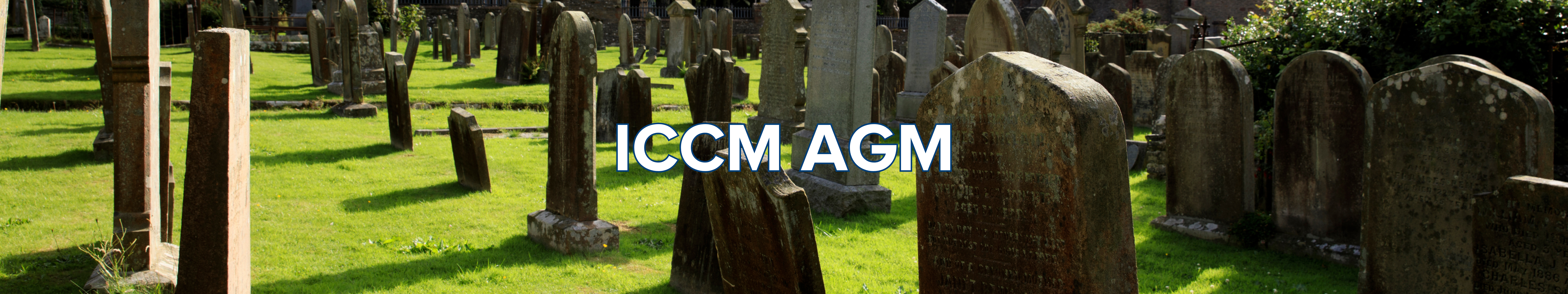 ICCM Webinars banners (80 x 15 in) (7)