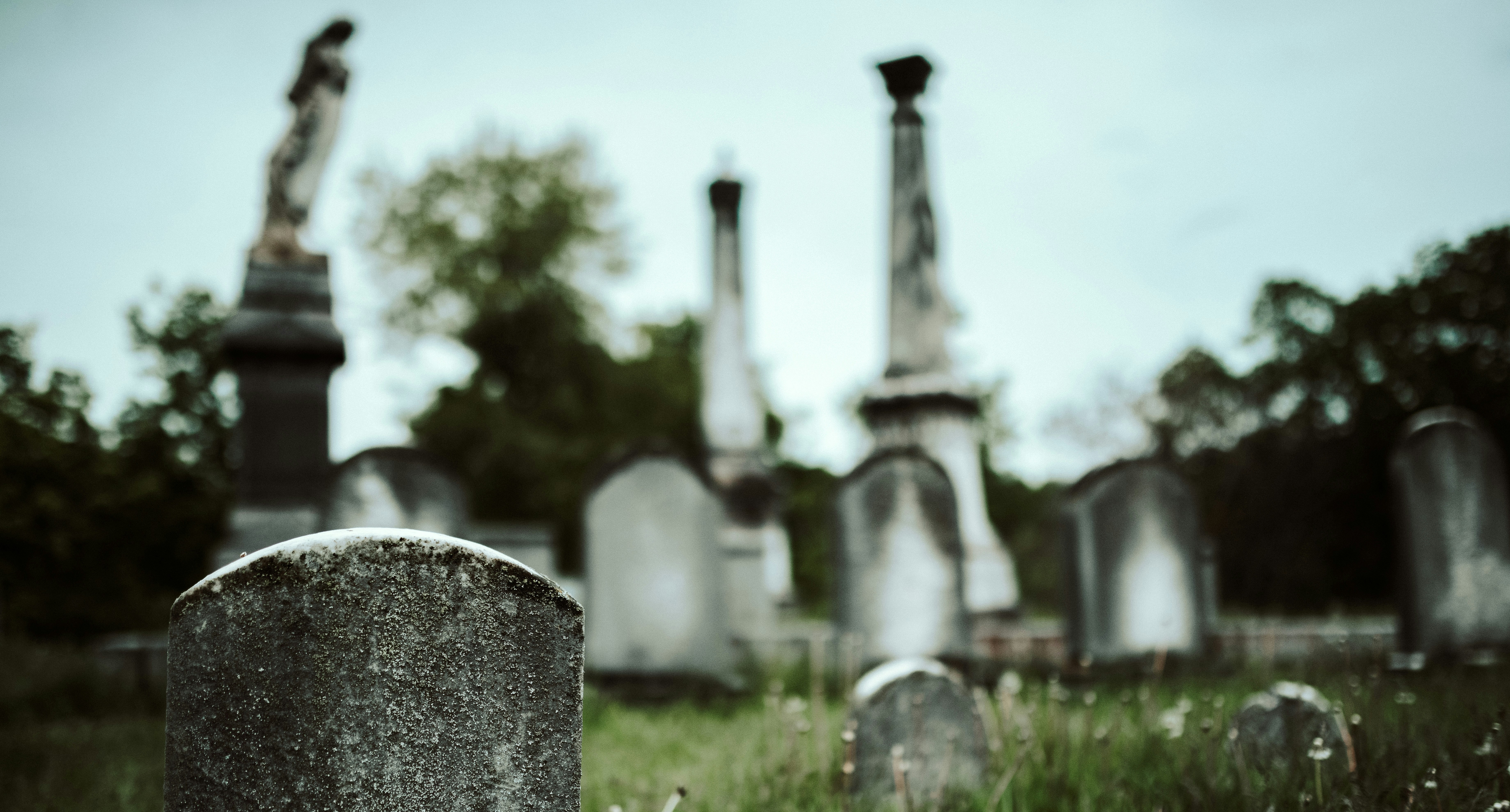 sandra-seitamaa-GkhcoWrAzNA-unsplash